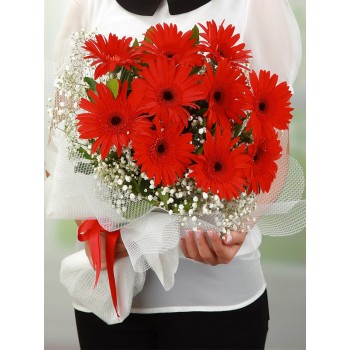 Kırmızı Gerbera Buketi