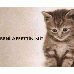 ÖZÜR MESAJLARI